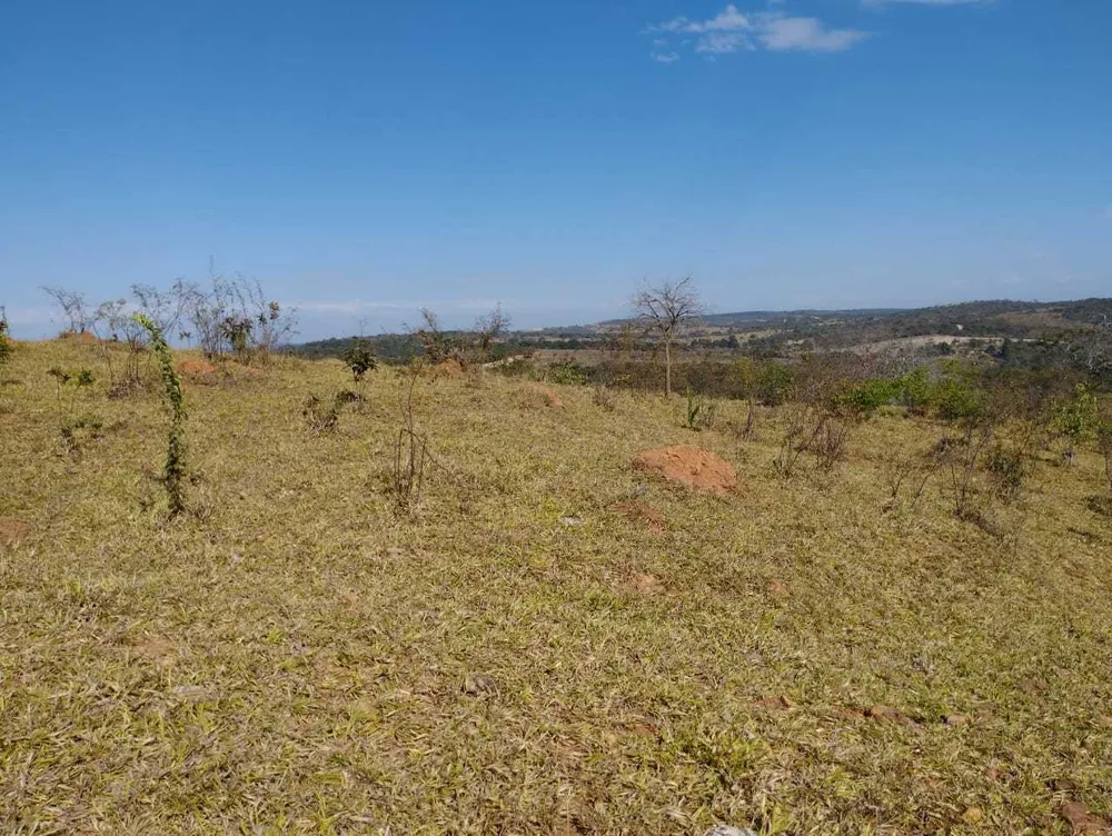 Fazenda, 1110 hectares - Foto 2
