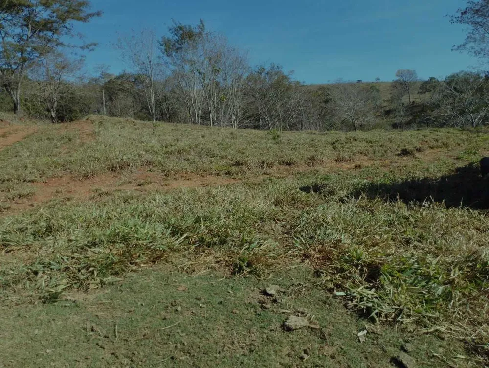 Fazenda, 1110 hectares - Foto 12