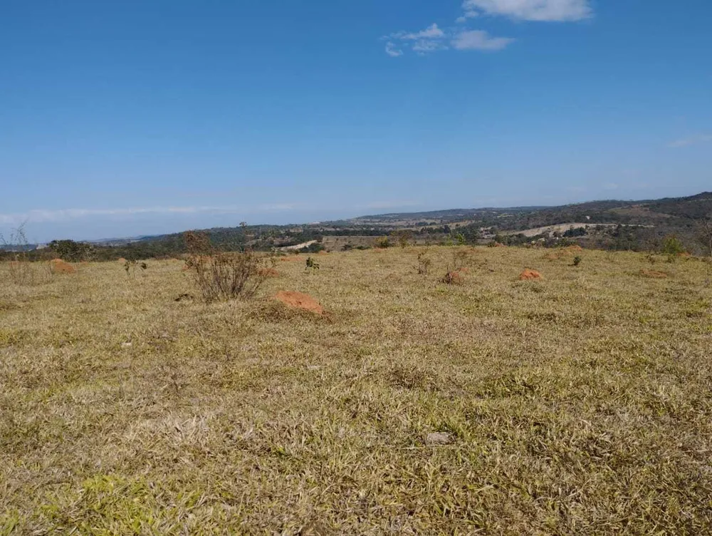 Fazenda, 1110 hectares - Foto 3