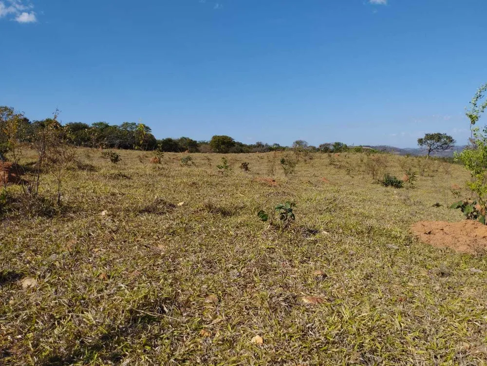 Fazenda, 1110 hectares - Foto 6