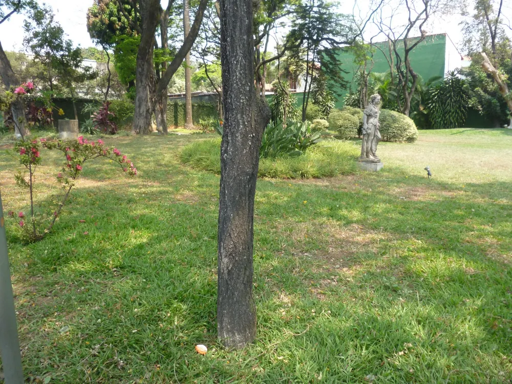 Terreno, 5500 m² - Foto 13