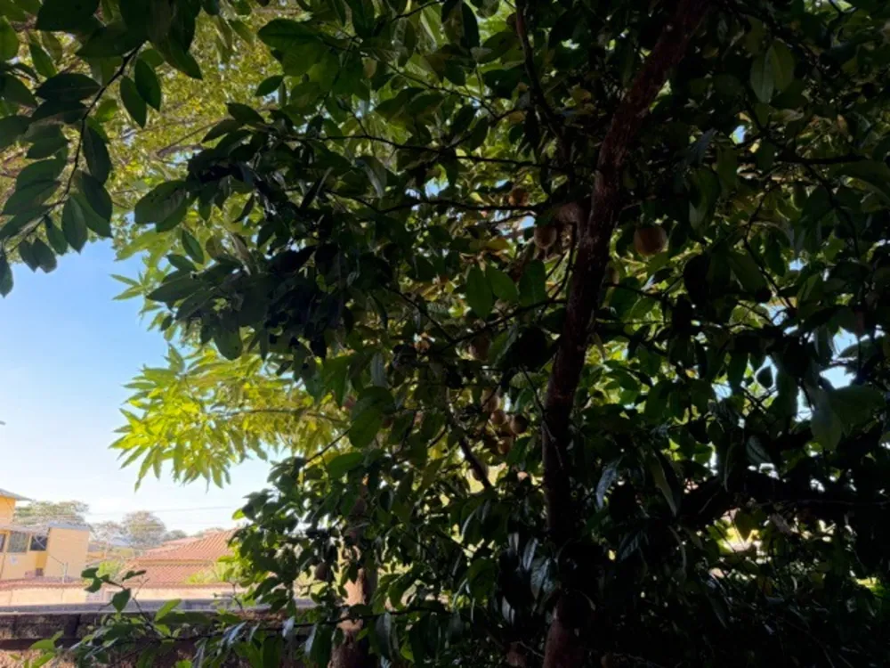Casa, 3 quartos, 200 m² - Foto 6