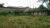 Terreno, 386 m² - Foto 4