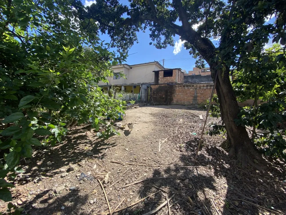 Terreno, 720 m² - Foto 11