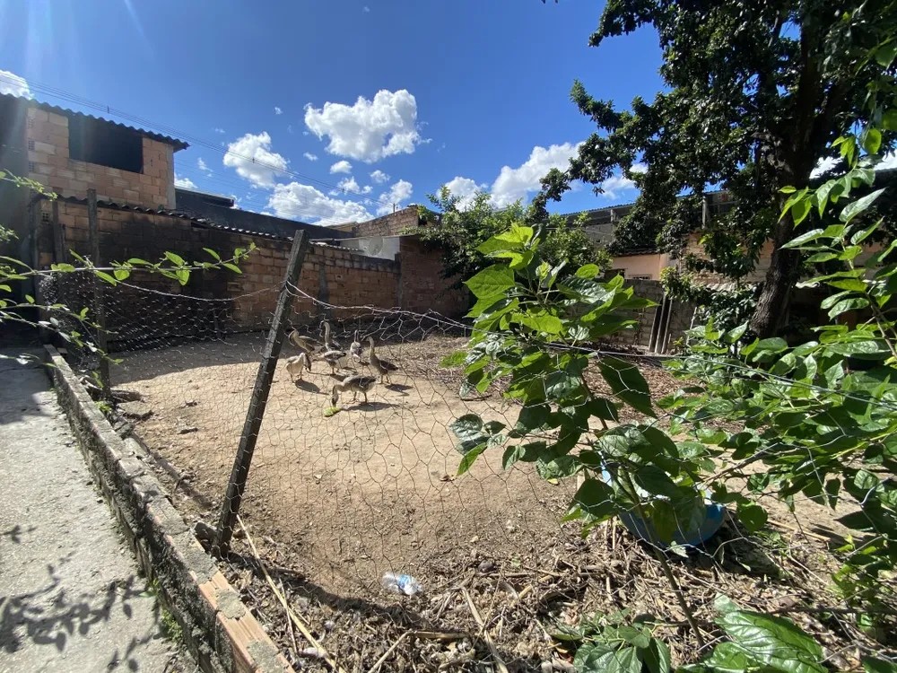Terreno, 720 m² - Foto 7