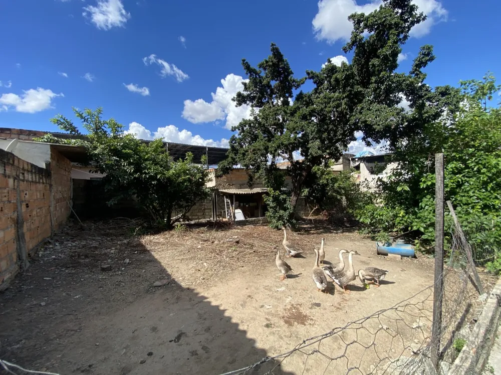 Terreno, 720 m² - Foto 5