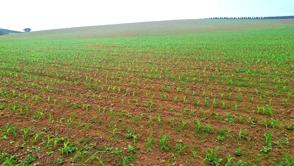 Fazenda, 252 m² - Foto 7