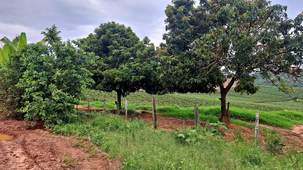 Fazenda, 252 m² - Foto 8