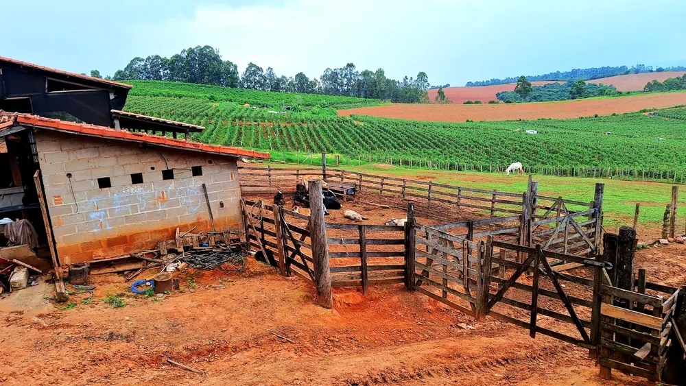 Fazenda, 252 m² - Foto 1