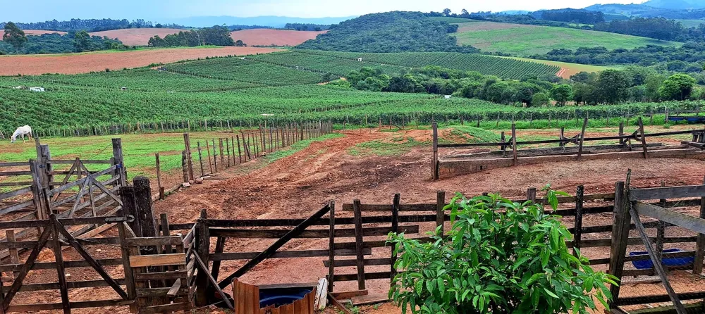 Fazenda, 252 m² - Foto 3