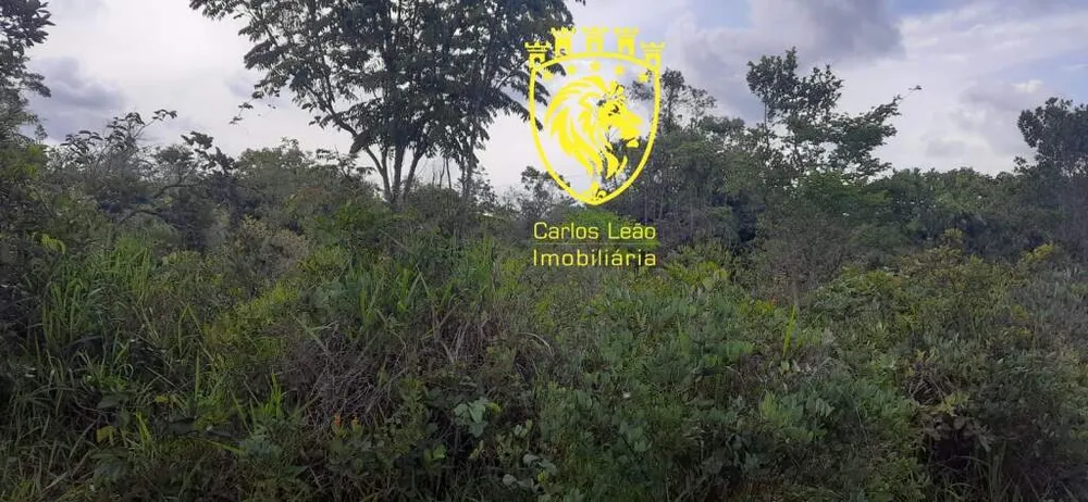 Fazenda, 170 hectares - Foto 2