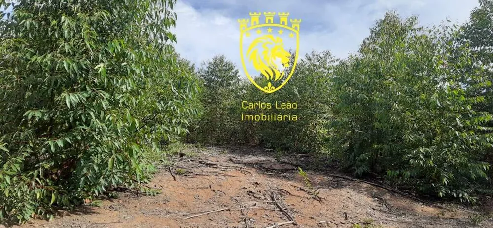 Fazenda, 170 hectares - Foto 11