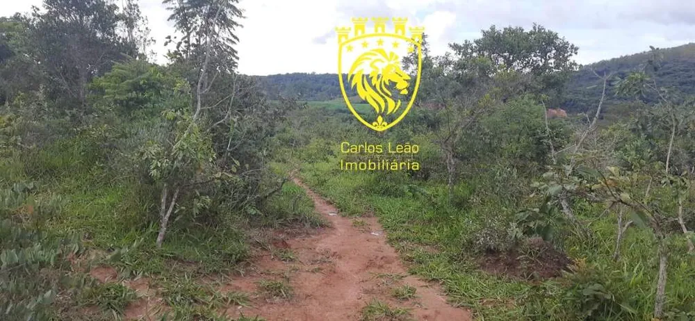 Fazenda, 170 hectares - Foto 3