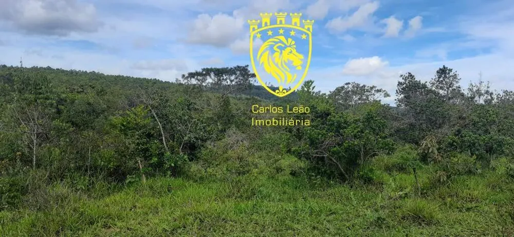 Fazenda, 170 hectares - Foto 6