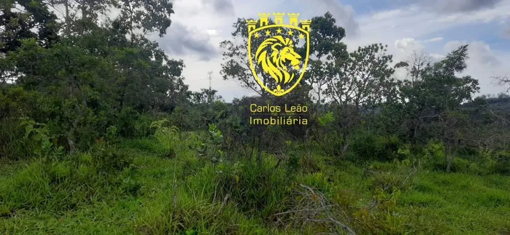 Fazenda, 170 hectares - Foto 15