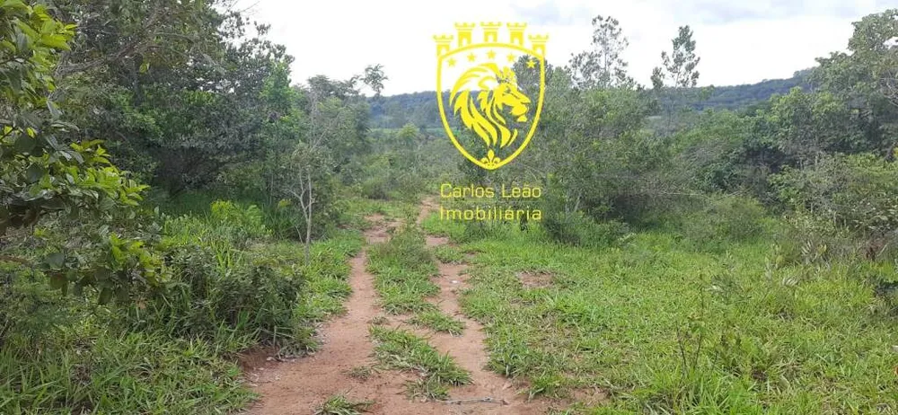 Fazenda, 170 hectares - Foto 7