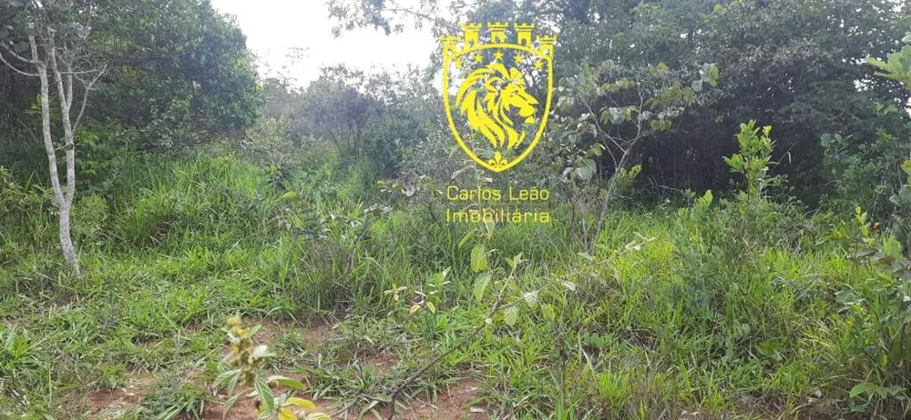 Fazenda, 170 hectares - Foto 1