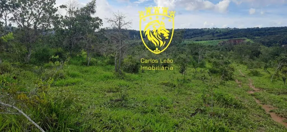 Fazenda, 170 hectares - Foto 4