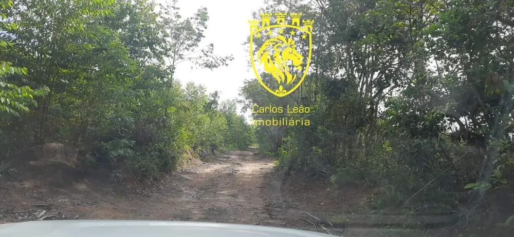 Fazenda, 170 hectares - Foto 8