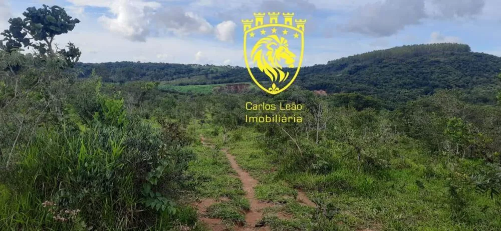 Fazenda, 170 hectares - Foto 12