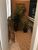 Casa, 4 quartos, 179 m² - Foto 4