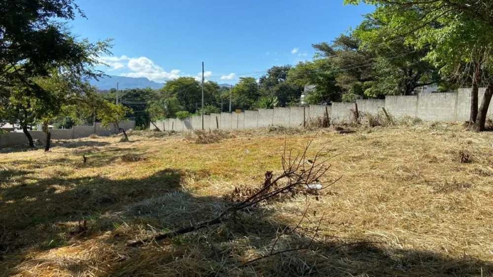 Terreno, 5000 m² - Foto 4