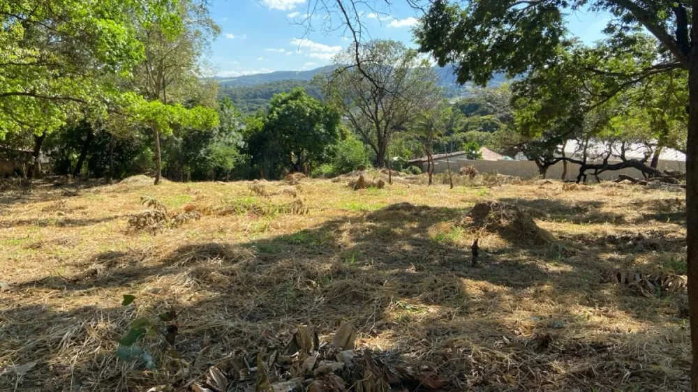 Terreno, 5000 m² - Foto 2