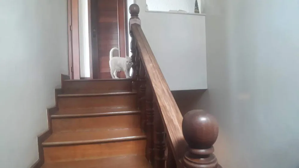 Casa, 4 quartos, 360 m² - Foto 8