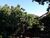 Terreno, 4500 m² - Foto 9