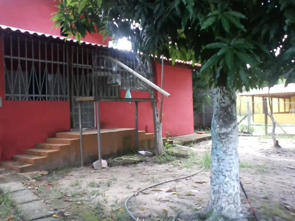 Sítio, 5 quartos, 200 m² - Foto 5