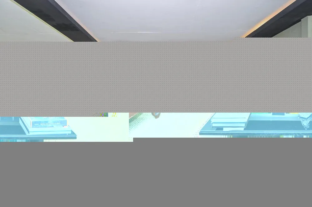 Casa, 3 quartos, 500 m² - Foto 4