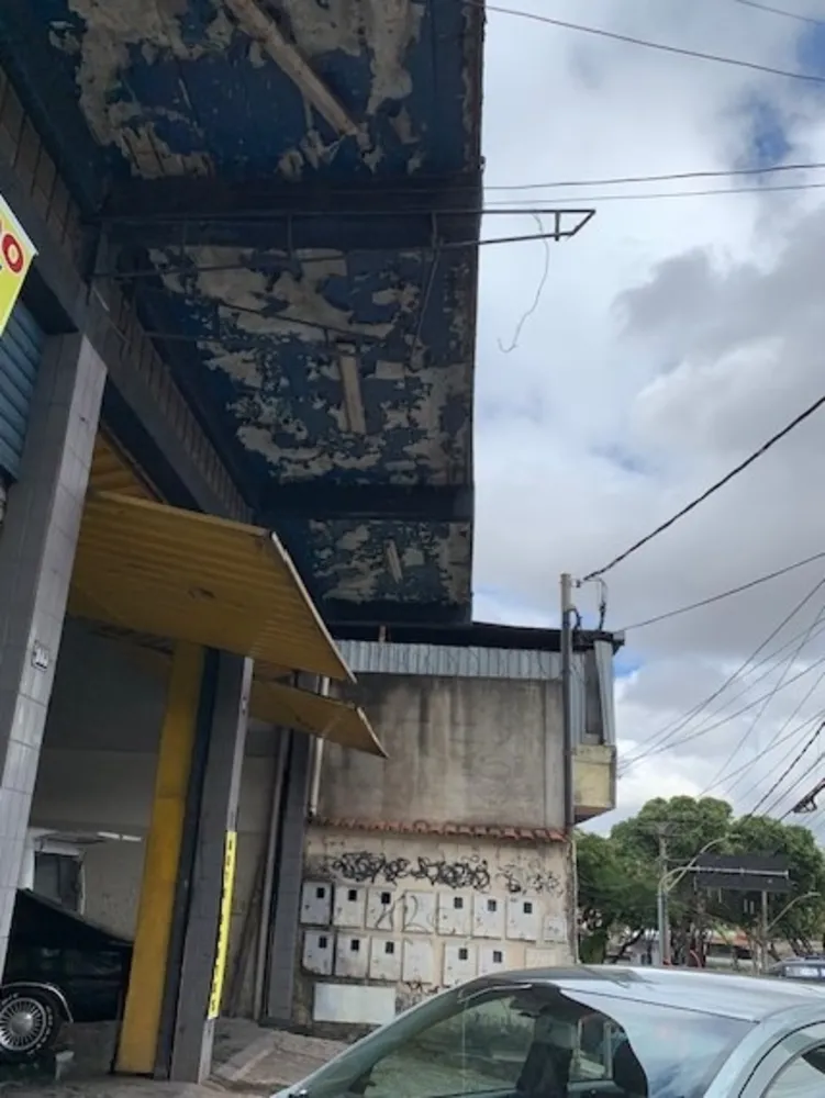 Casa, 3 quartos, 360 m² - Foto 19