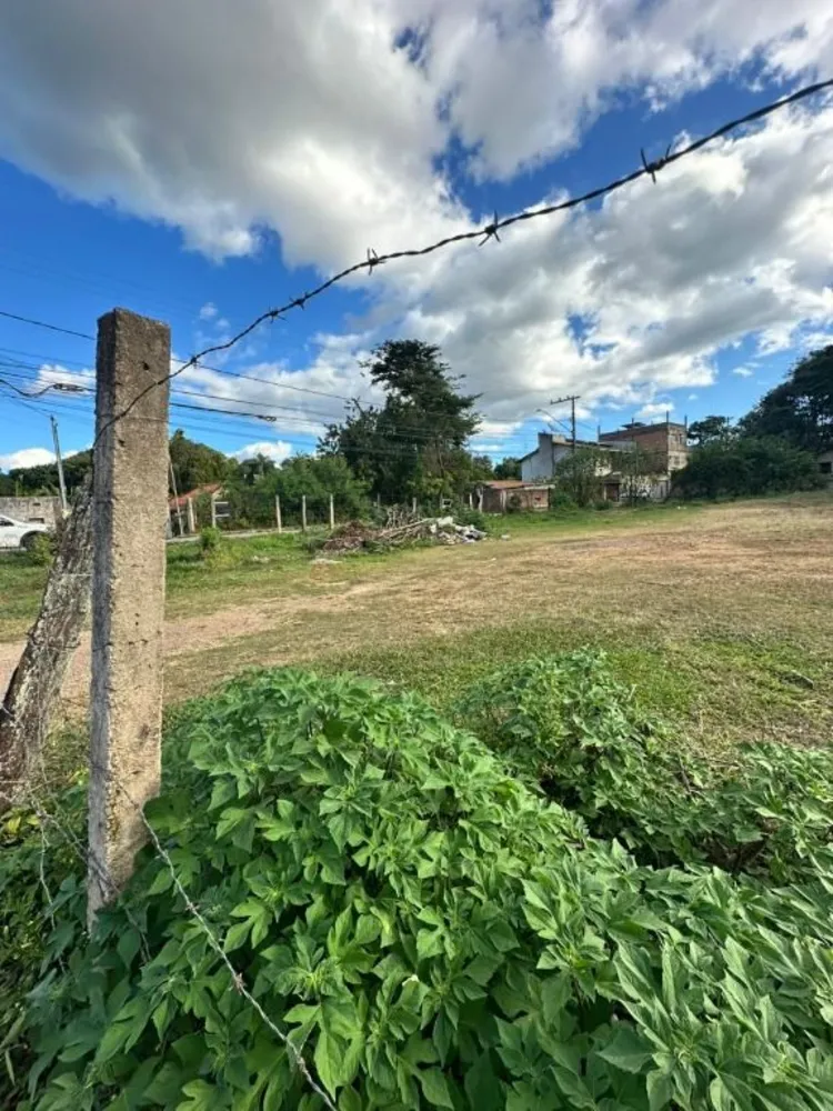 Terreno, 374 m² - Foto 9