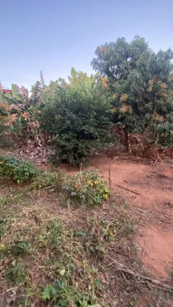 Terreno, 360 m² - Foto 7
