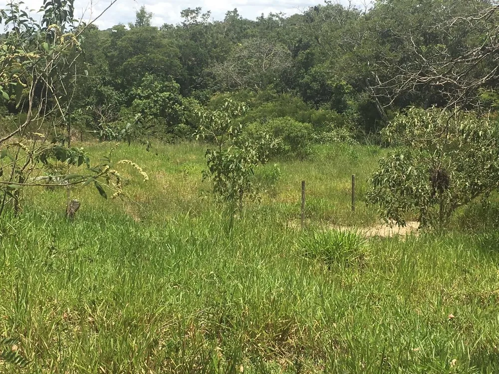 Terreno, 2400 m² - Foto 1
