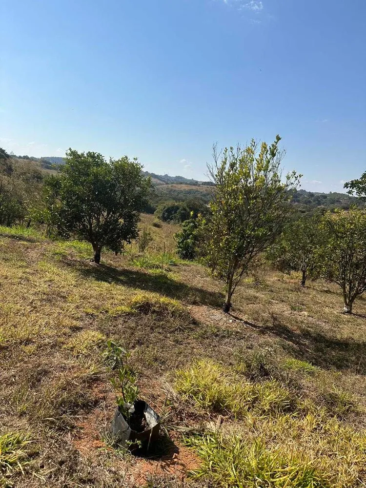 Chácara, 1 quarto, 3 hectares - Foto 4
