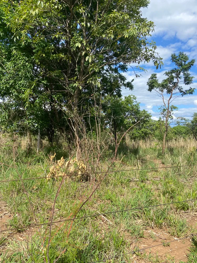 Chácara, 3 quartos, 4 hectares - Foto 12