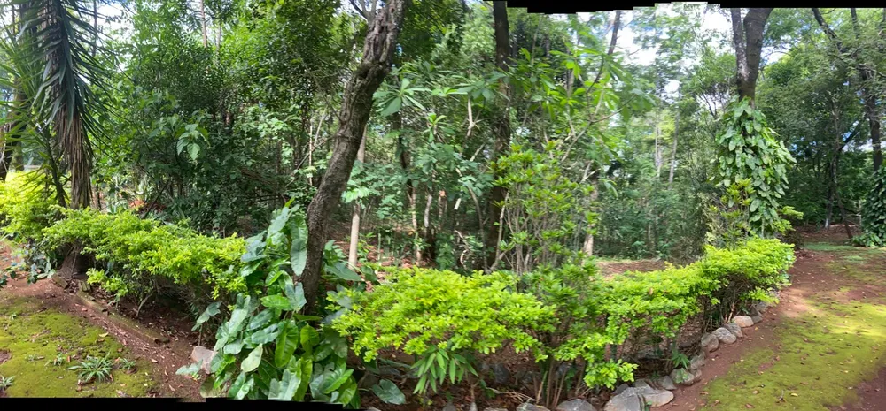 Chácara, 3 quartos, 4 hectares - Foto 6