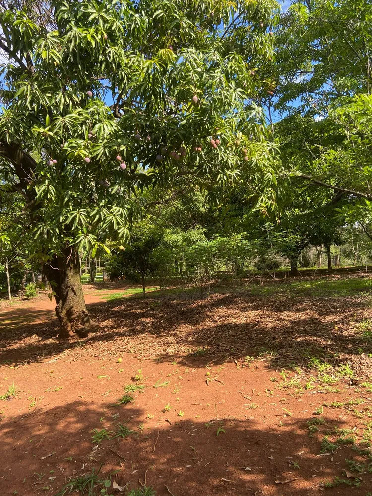Chácara, 3 quartos, 4 hectares - Foto 11