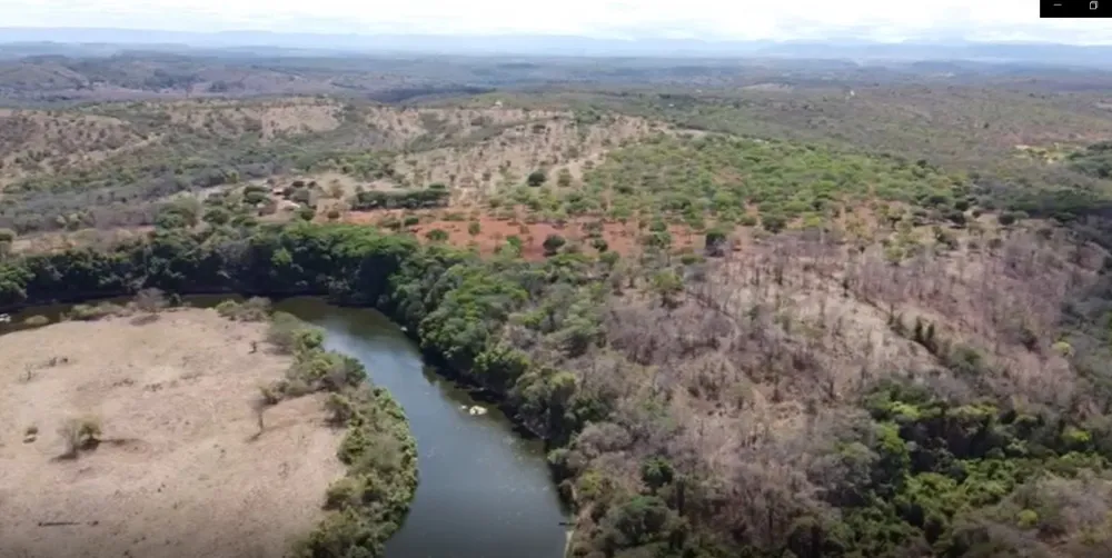 Fazenda, 300 hectares - Foto 7
