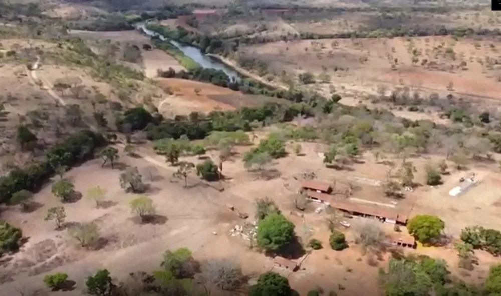 Fazenda, 300 hectares - Foto 7