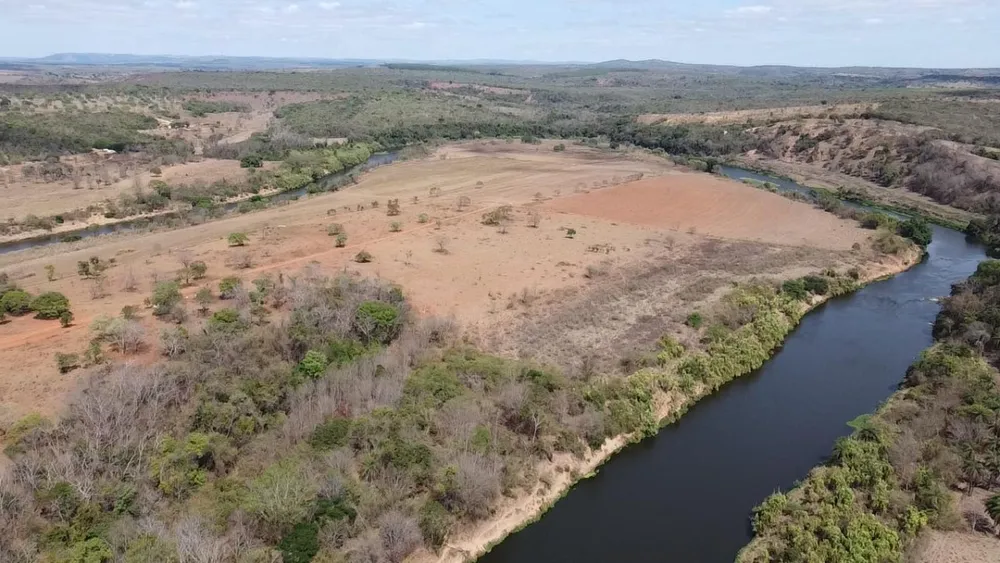Fazenda, 300 hectares - Foto 6