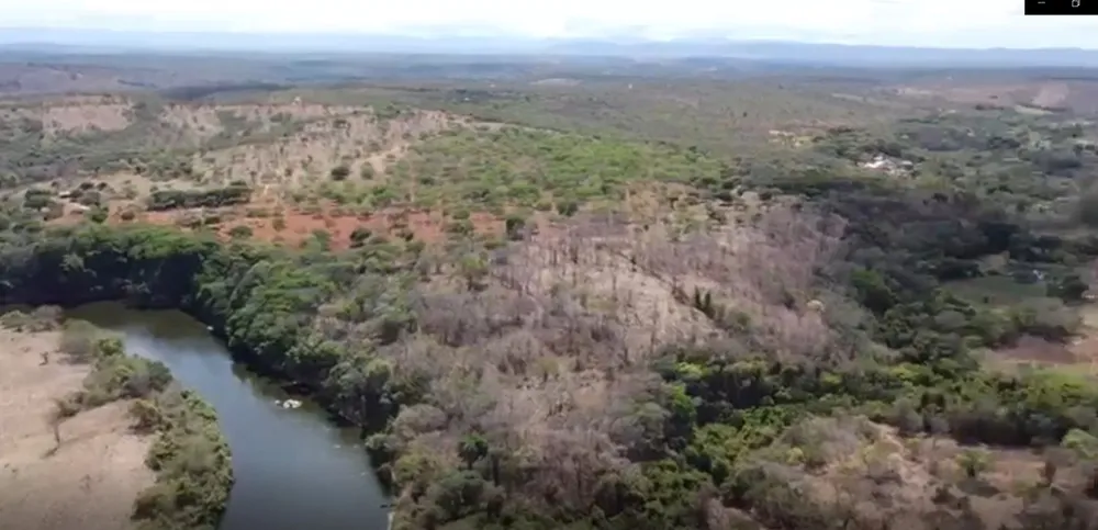 Fazenda, 300 hectares - Foto 1