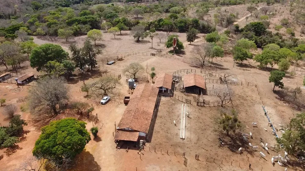 Fazenda, 300 hectares - Foto 4