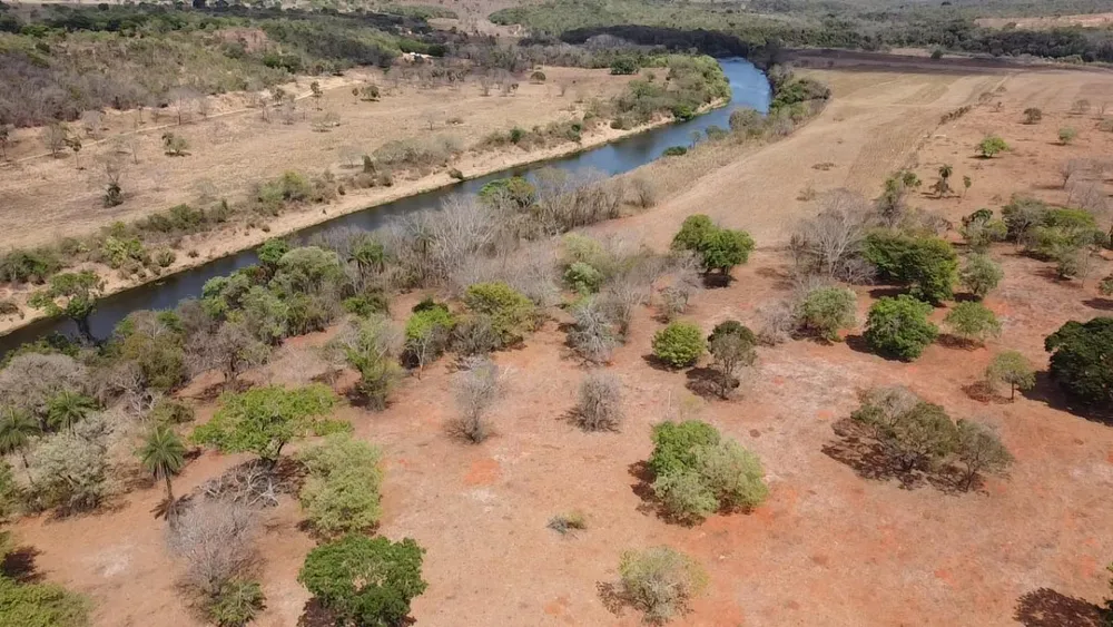Fazenda, 300 hectares - Foto 11