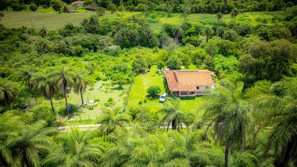 Terreno, 2 hectares - Foto 1
