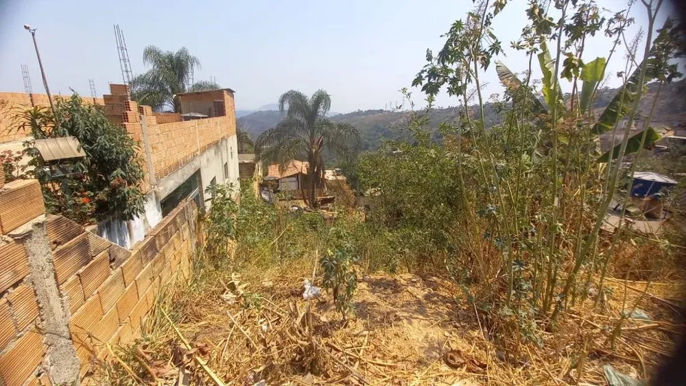Terreno, 250 m² - Foto 4