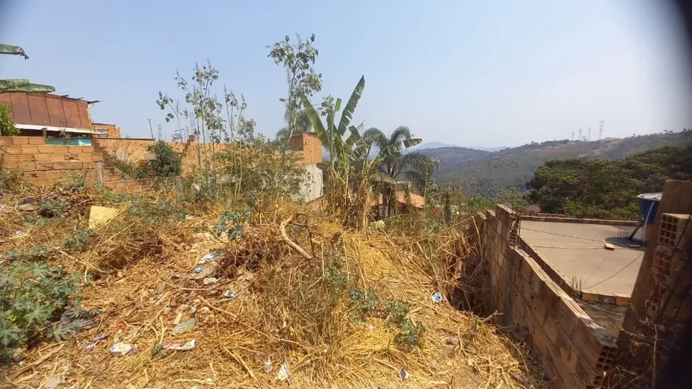 Terreno, 250 m² - Foto 6