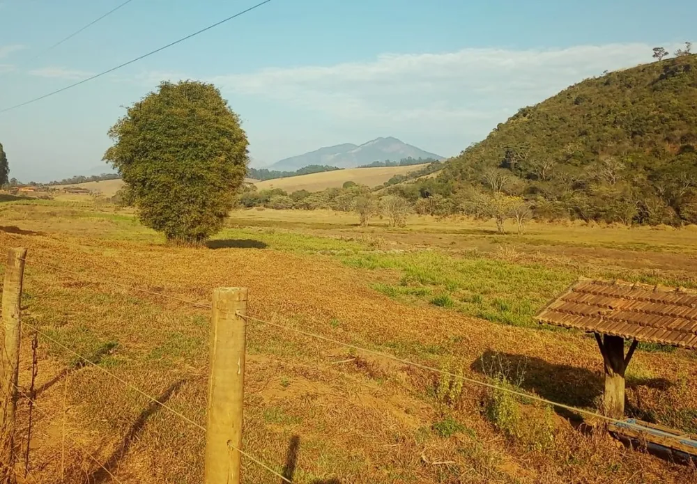 Fazenda, 120 hectares - Foto 6