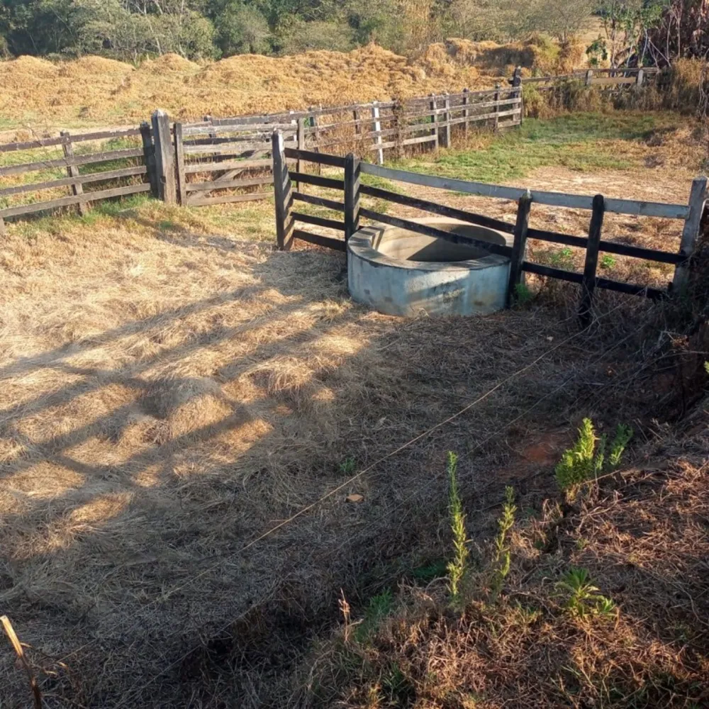 Fazenda, 120 hectares - Foto 4